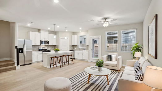 Houston 2-story, 4-bed 1507 Blue Acer Drive-idx