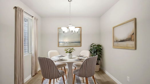 Houston 2-story, 4-bed 1507 Blue Acer Drive-idx
