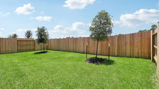 New Caney 1-story, 3-bed 18558 Landing Meadows Lane-idx