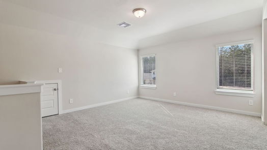 New Caney 2-story, 4-bed 22402 Aster Way Lane-idx