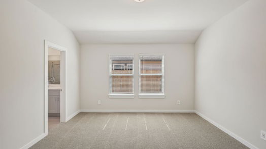 New Caney 1-story, 4-bed 22406 Aster Way Lane-idx