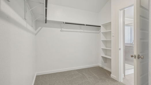 New Caney 1-story, 4-bed 22406 Aster Way Lane-idx