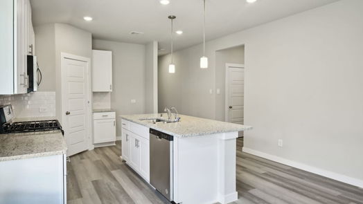 New Caney 1-story, 4-bed 22418 Aster Way Lane-idx