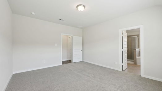 New Caney 1-story, 4-bed 18754 Bliss Place-idx