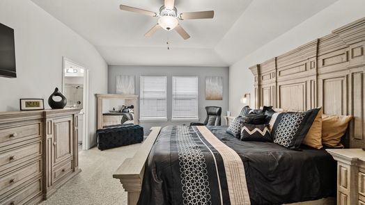 Rosharon 1-story, 4-bed 7223 Runyon Court-idx