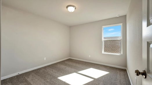 Texas City 2-story, 4-bed 10306 Hermann Trace-idx
