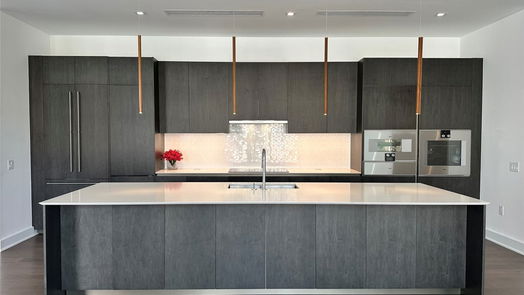 Houston null-story, 3-bed 2710 Steel Street 506-idx