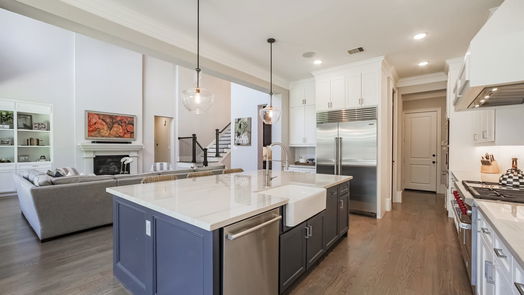 Houston 2-story, 4-bed 1438 Pine Chase Drive-idx