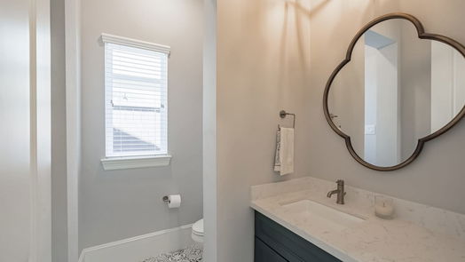 Houston 2-story, 4-bed 1438 Pine Chase Drive-idx