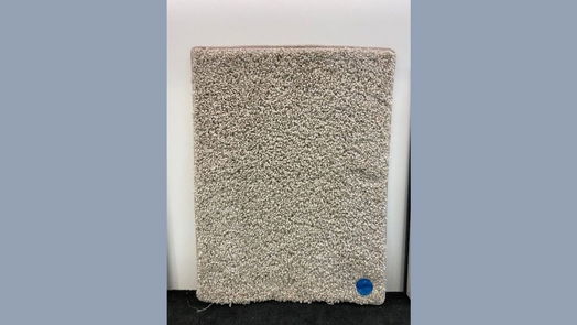 Fulshear 2-story, 4-bed 31438 Beacon Cove Trail Trail-idx