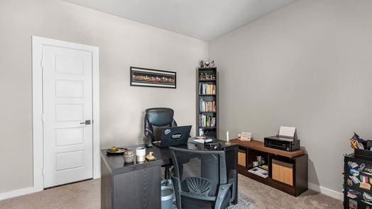 Fulshear 2-story, 4-bed 4210 Chloe Ridge Lane-idx