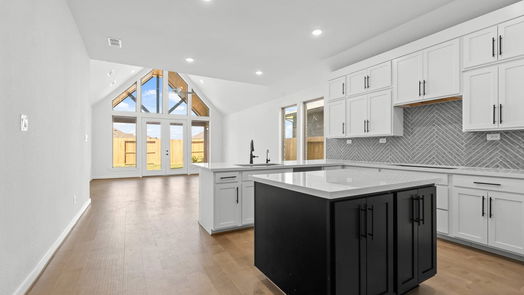 Hockley null-story, 4-bed 17019 Luminous Lane-idx