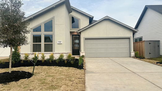 Hockley 1-story, 4-bed 17018 Luminous Lane-idx