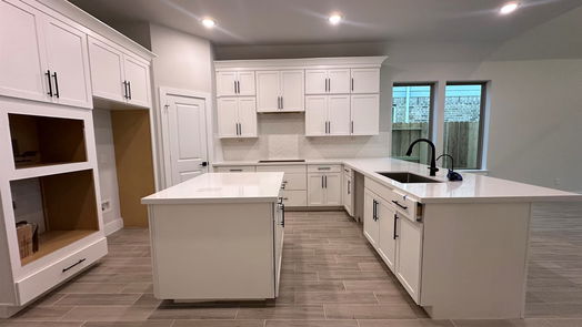 Hockley 1-story, 4-bed 17018 Luminous Lane-idx