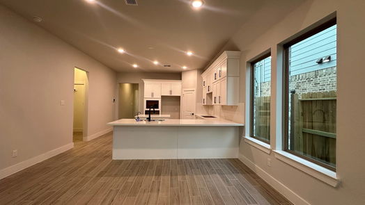 Hockley 1-story, 4-bed 17018 Luminous Lane-idx