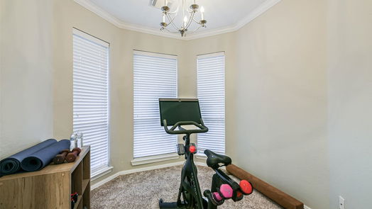 Humble 1-story, 4-bed 14306 Caprock Cove Lane-idx