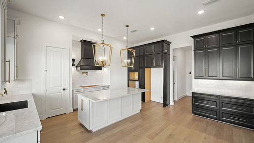 Katy null-story, 4-bed 24722 Celestial Lily Drive-idx