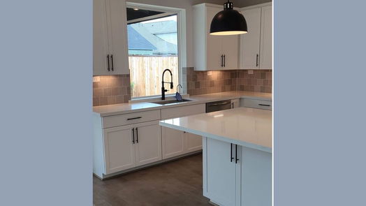 Richmond 2-story, 5-bed 2111 Lucky Lemon Lane-idx