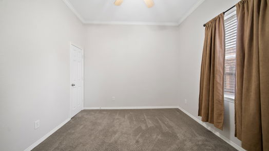 Sugar Land 1-story, 4-bed 7703 Great Pecan Lane-idx