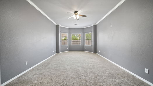 Sugar Land 1-story, 4-bed 7703 Great Pecan Lane-idx