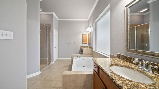 Sugar Land 1-story, 4-bed 7703 Great Pecan Lane-idx