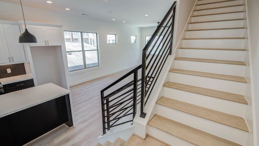 Houston 3-story, 3-bed 615 Cage Street-idx