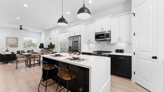 Houston 3-story, 3-bed 820 Curtin Street F-idx