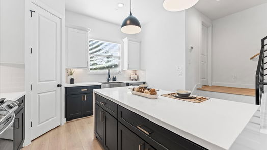 Houston 3-story, 3-bed 808 Curtin Street A-idx