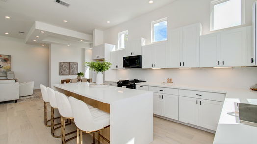 Houston 3-story, 3-bed 2915 Engelke Street D-idx