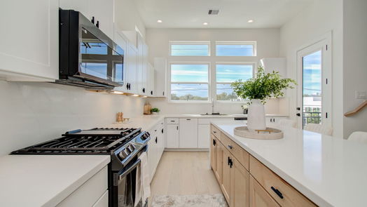 Houston 3-story, 3-bed 2915 Engelke Street D-idx