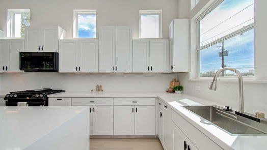 Houston 3-story, 3-bed 2915 Engelke Street D-idx