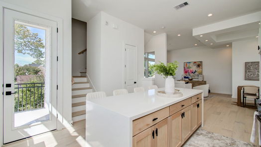 Houston 3-story, 3-bed 2915 Engelke Street D-idx