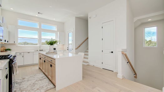 Houston 3-story, 3-bed 2915 Engelke Street D-idx