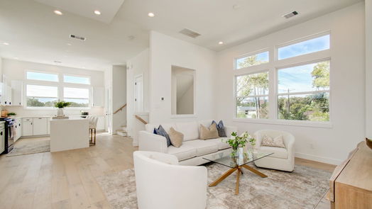 Houston 3-story, 3-bed 2915 Engelke Street D-idx