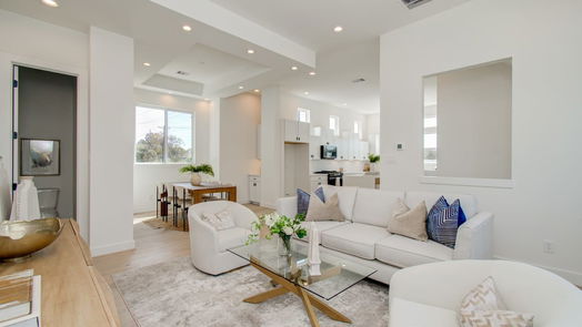 Houston 3-story, 3-bed 2915 Engelke Street D-idx