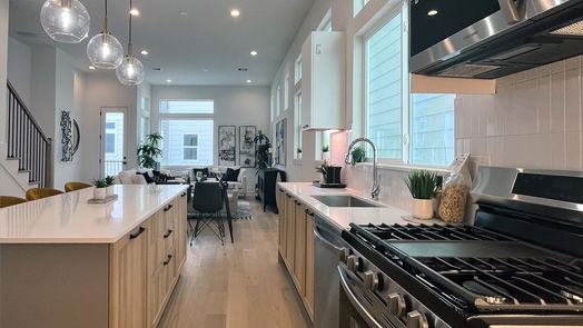 Houston 3-story, 3-bed 303 Marcella Street E-idx