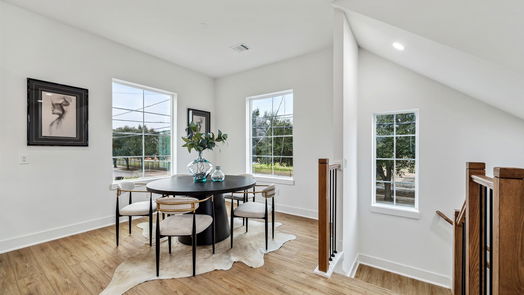 Houston 3-story, 3-bed 891 Lonnie Lane-idx