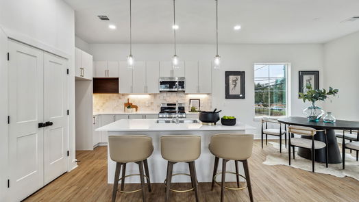 Houston 3-story, 3-bed 891 Lonnie Lane-idx