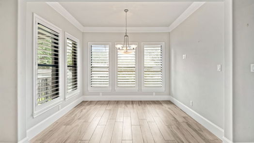 Houston 2-story, 4-bed 5230 N Braeswood Boulevard-idx