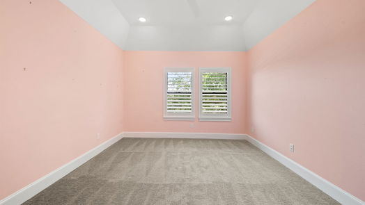 Houston 2-story, 4-bed 5230 N Braeswood Boulevard-idx