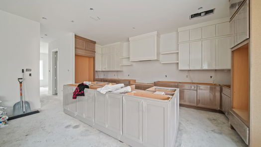 Houston 2-story, 5-bed 5317 Schumacher Lane-idx