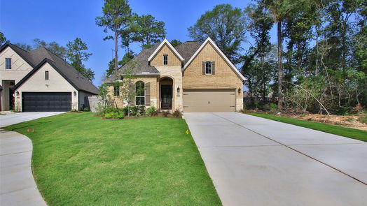 Conroe 1-story, 4-bed 15662 Turtlehead Lane-idx