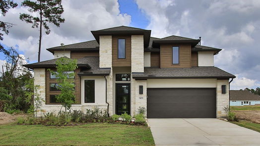 Conroe 2-story, 4-bed 18419 Chameleon Court-idx