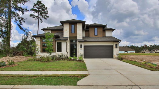 Conroe 2-story, 4-bed 18419 Chameleon Court-idx