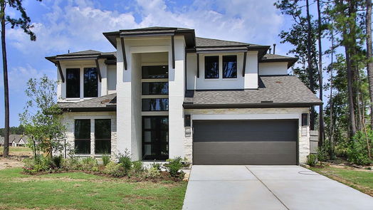 Conroe 2-story, 4-bed 18451 Chameleon Court-idx