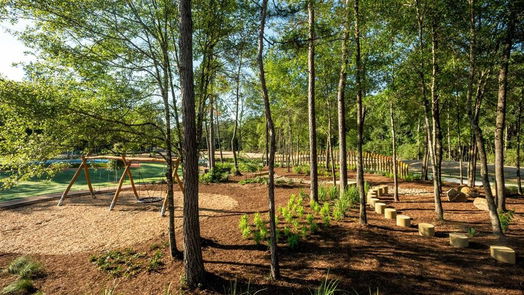 Conroe 1-story, 4-bed 15718 Koi Gardens Lane-idx