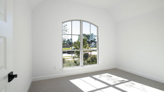 Conroe 1-story, 4-bed 17711 Monarch Vista Lane-idx