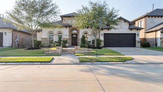 Friendswood 1-story, 4-bed 828 Sage Way Lane-idx