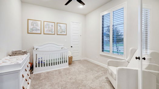 Fulshear 1-story, 4-bed 4319 Windy Oaks Drive-idx