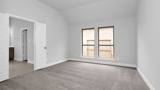 Fulshear 1-story, 3-bed 29307 Mesquite Oaks Drive-idx